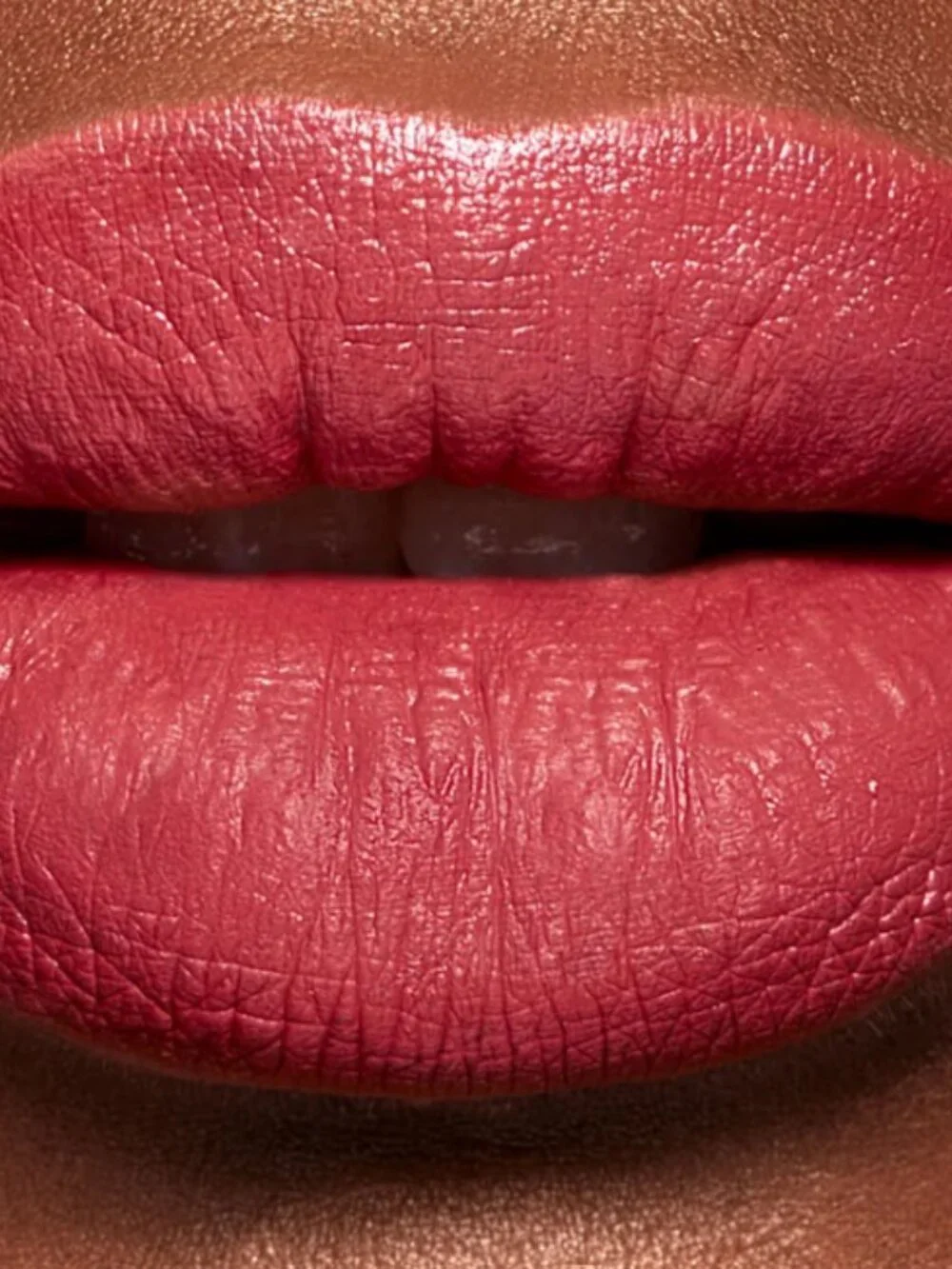 Shades by Shan Blush & Lip Collection NEW
